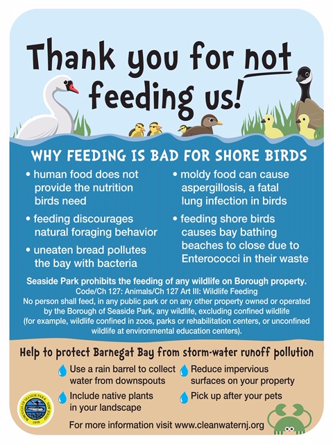 DoNotFeedBirdsSign_18x24